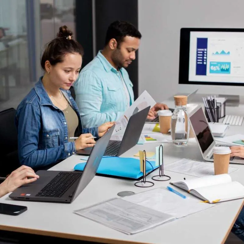 Professional Web Development Company